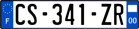 CS-341-ZR