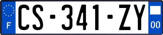 CS-341-ZY