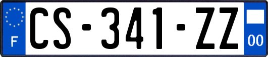 CS-341-ZZ