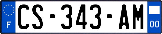 CS-343-AM