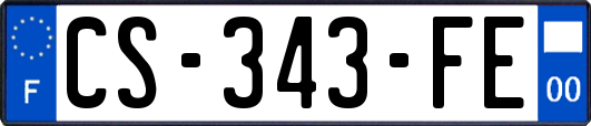 CS-343-FE