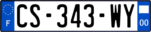 CS-343-WY