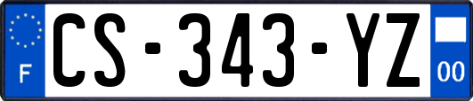 CS-343-YZ