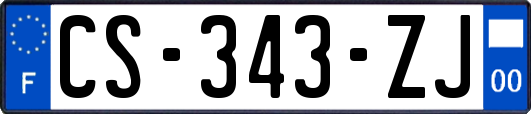 CS-343-ZJ