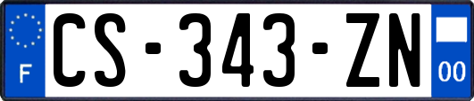 CS-343-ZN