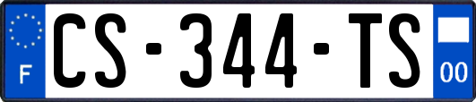 CS-344-TS