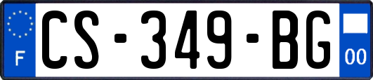 CS-349-BG