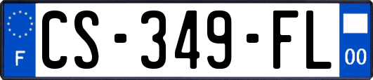CS-349-FL