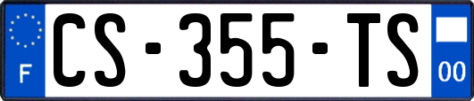 CS-355-TS