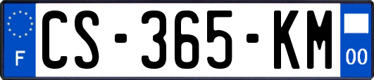CS-365-KM