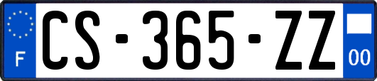 CS-365-ZZ