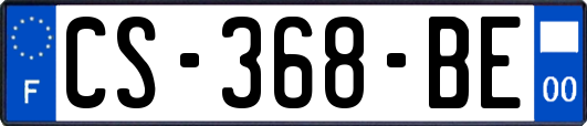 CS-368-BE