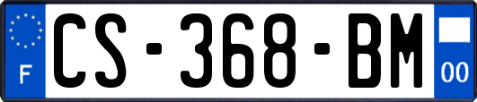 CS-368-BM