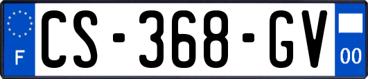 CS-368-GV