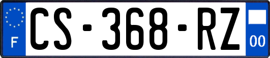 CS-368-RZ