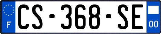 CS-368-SE