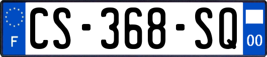CS-368-SQ
