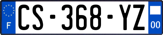 CS-368-YZ