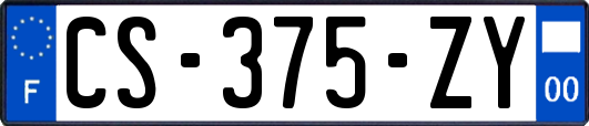 CS-375-ZY