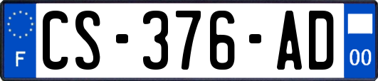 CS-376-AD