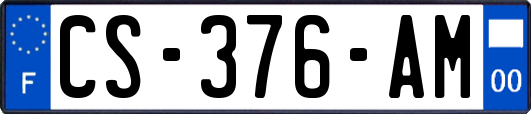 CS-376-AM