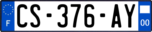 CS-376-AY