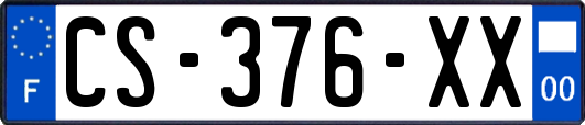 CS-376-XX