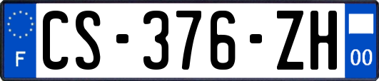 CS-376-ZH