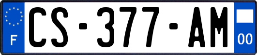 CS-377-AM