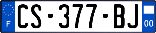 CS-377-BJ