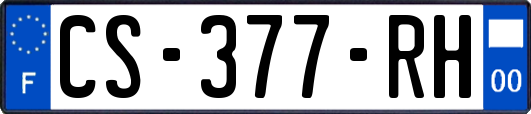 CS-377-RH