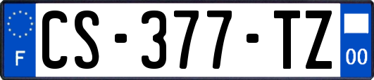 CS-377-TZ