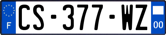 CS-377-WZ