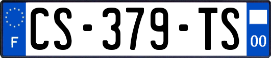 CS-379-TS