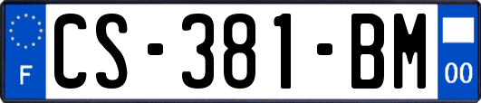 CS-381-BM