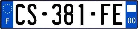 CS-381-FE
