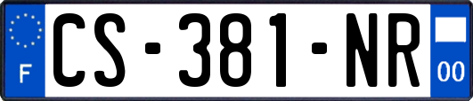 CS-381-NR