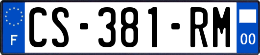 CS-381-RM