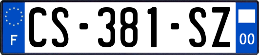 CS-381-SZ