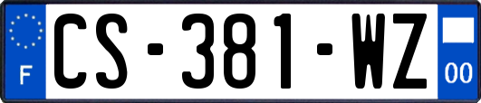 CS-381-WZ