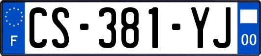 CS-381-YJ