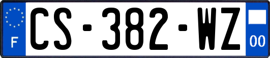 CS-382-WZ