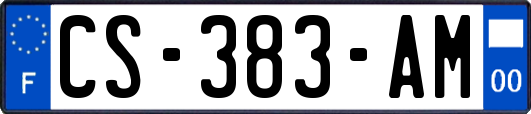 CS-383-AM