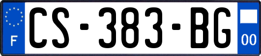 CS-383-BG