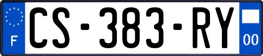 CS-383-RY