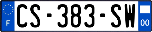 CS-383-SW