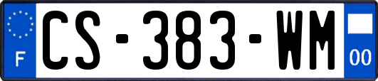 CS-383-WM