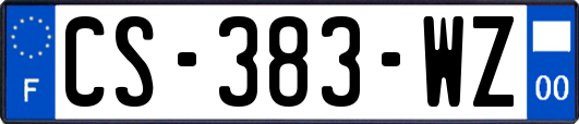 CS-383-WZ