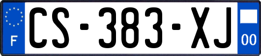 CS-383-XJ