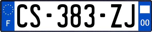 CS-383-ZJ